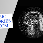 Basic Theories of TCM Series – Shen