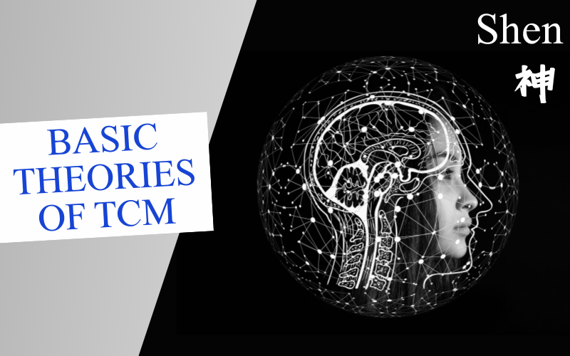 Basic Theories of TCM Series – Shen