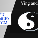 Basic Theories of TCM Series – Yin and Yang