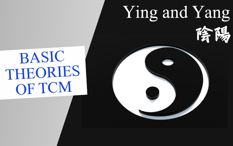 Basic Theories of TCM Series – Yin and Yang