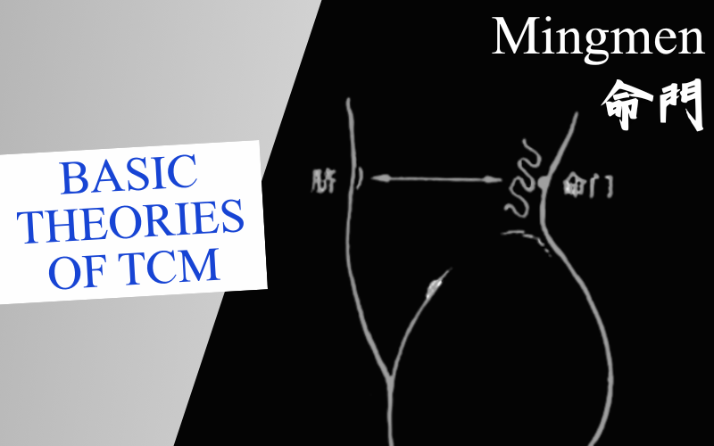 Basic Theories of TCM Series – Mingmen