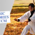 Basic Theories of TCM Series – Qi