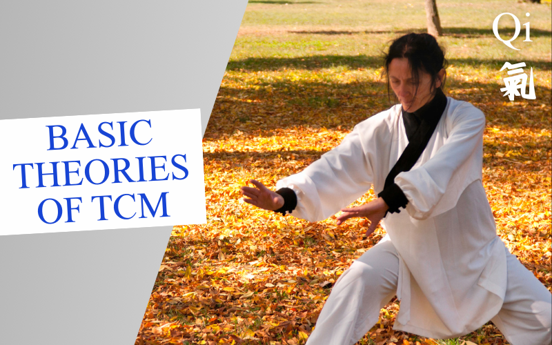 Basic Theories of TCM Series – Qi